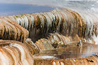 Mammoth Hot Springs Yellowstone National Park